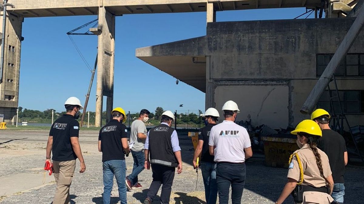 AFIP seized 250 tons of corn in an egg-producing company with irregularities