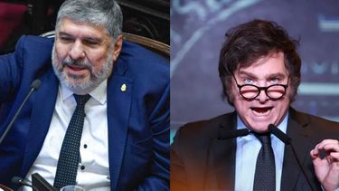 José Mayans cruzó a Javier Milei y pidió que le hagan una pericia  psicológica