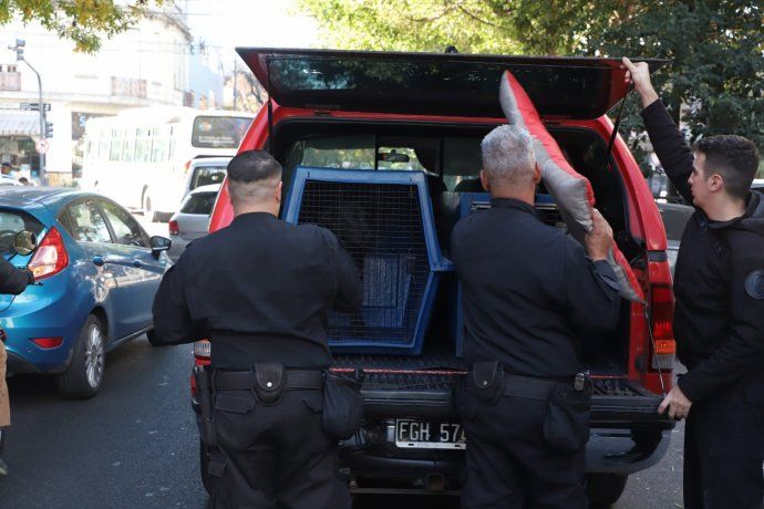La división de canes de la Policía Federal verificará el lugar.