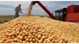 soybean harvest could fall below 25 million tons