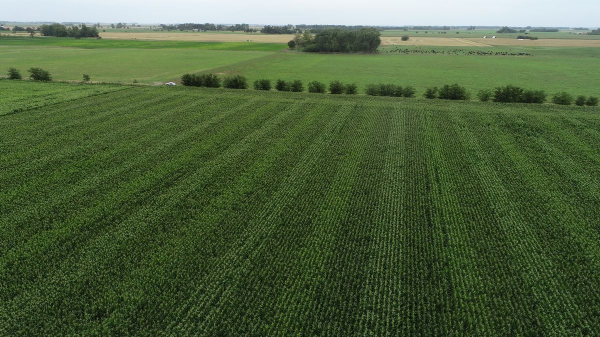 Max Capital diversifies its business and enters the agricultural world
