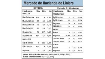 Liniers: gran ingreso de animales por buenos precios