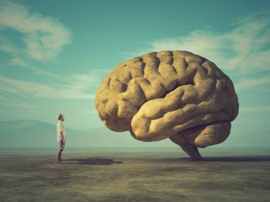 Cerebro.