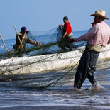 Millonarios. Millonarios.