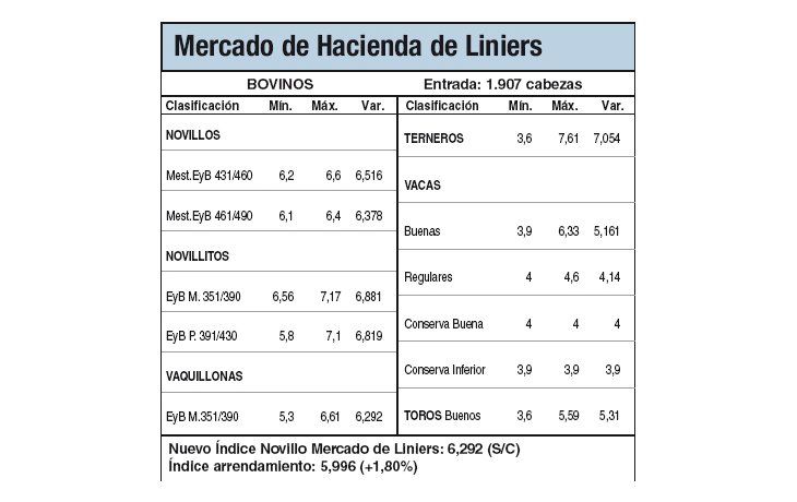 Productores retienen ganado por buen clima