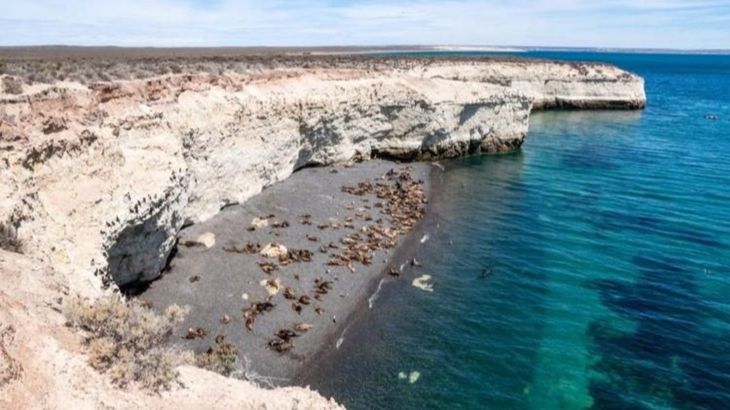 Las Canteras stands out for its privileged views and the possibility of spotting southern right whales from the shore. Las Canteras stands out for its privileged views and the possibility of spotting southern right whales from the shore.