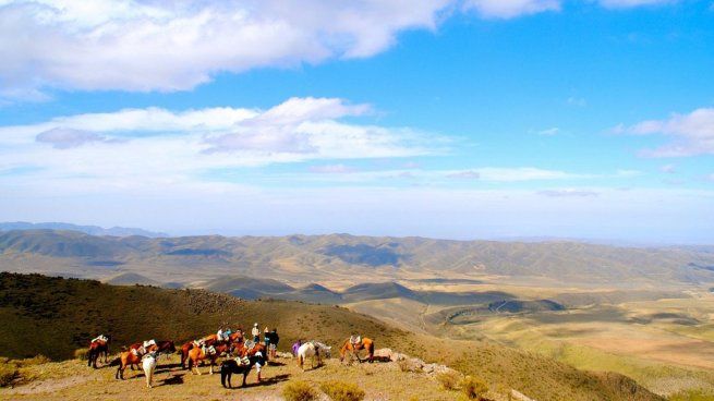 Este espacio es ideal para observar una de las especies más llamativas que existen en el país.