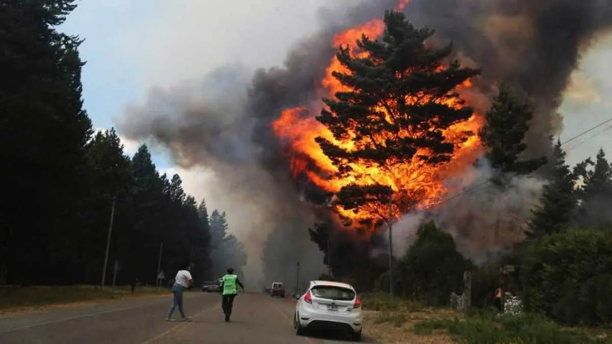 Forest fires in Argentina: reflections and challenges on International Forest Fire Prevention Day