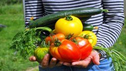 Fruits and vegetables at home: the tips to effectively cultivate, according to gardening specialists Fruits and vegetables at home: the tips to effectively cultivate, according to gardening specialists