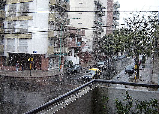 Caballito pudo disfrutar de la nieve.