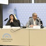 En un plenario de comisiones expusieron expertos y funcionarios. En un plenario de comisiones expusieron expertos y funcionarios.