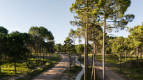 bosques: el barrio que fusiona el diseno, la arquitectura y el paisajismo en pinamar norte