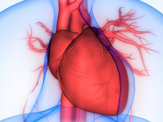 causas-insuficiencia-cardiaca.jpg
