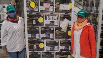 Apertura. Por pimera vez, los limones tucumanos llegarán a China.