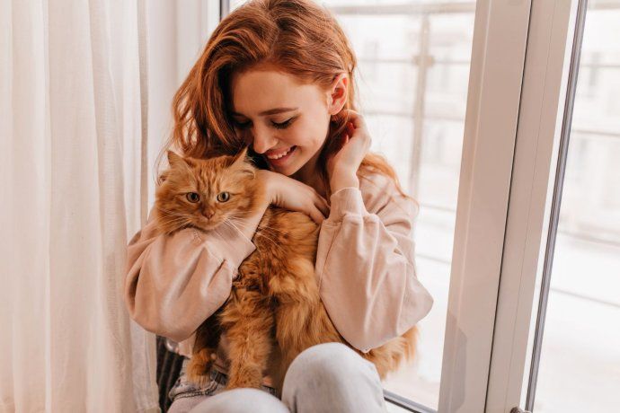 Muchos hogares argentinos tienen felinos como mascotas y cada vez más personas establecen un vínculo cercano con ellos.