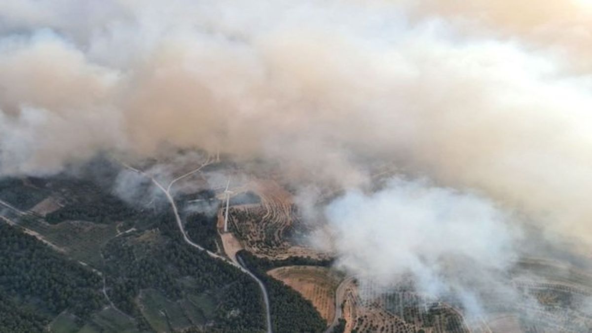 Spain battles forest fires as it suffocates in heat wave