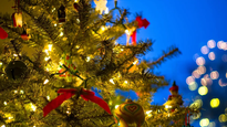 Nueva tendencia en las vísperas de Navidad