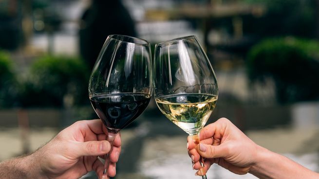 La Ruta del Vino en Buenos Aires.