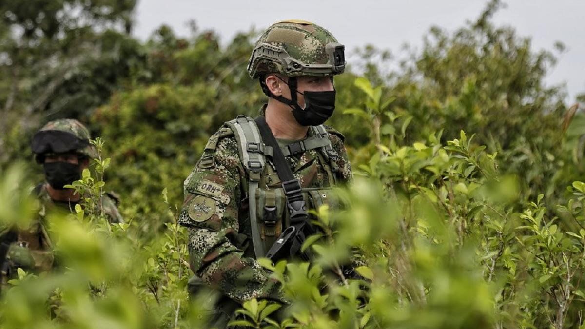 coca growers retain about 180 soldiers who eradicated crops