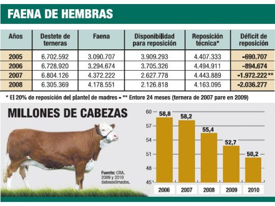 Ganaderos piden que Gobierno subsidie a los criadores