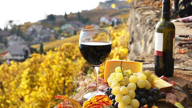 De los viñedos de España llega el 13,6% de las botellas de vino importado en Argentina. El 52,6% viene de Chile.