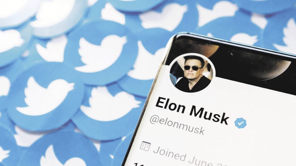 Tras encuesta, Elon Musk anunció la vuelta de cuentas suspendidas de Twitter