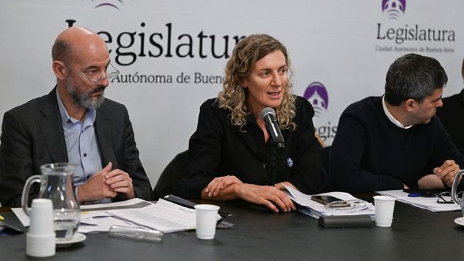 La presidenta de la Comisión de Presupuesto, Hacienda, Administración Financiera y Política Tributaria, Paola Michielotto.