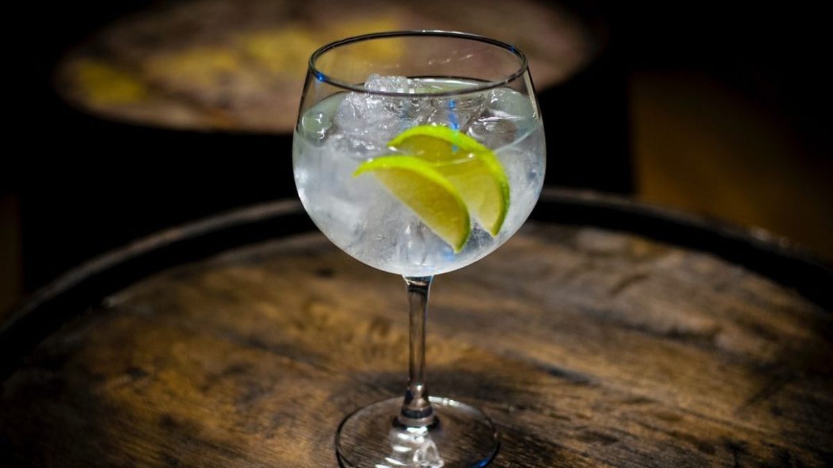 The second edition of the Gin Tonic Festival arrives