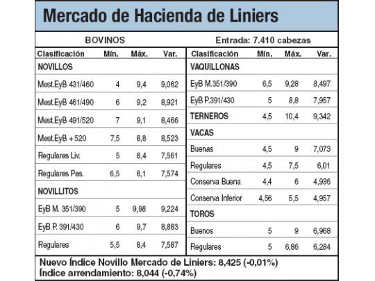 Los novillos bajaron un 0,5%