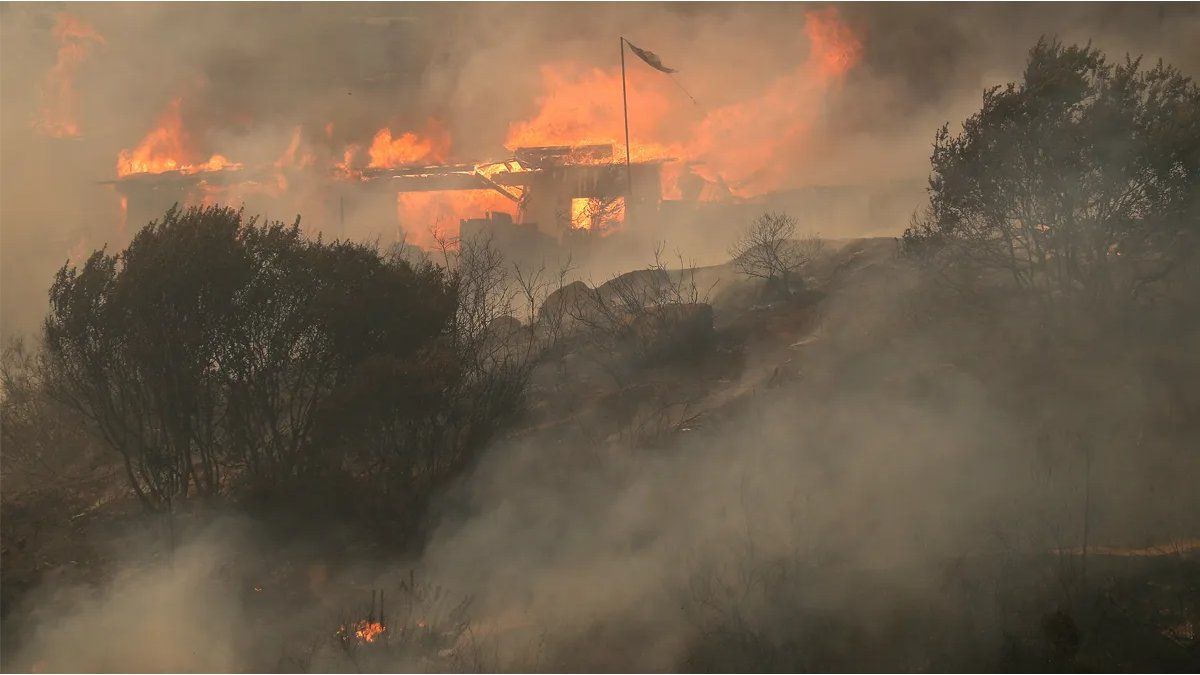 The death toll from forest fires increases to 122