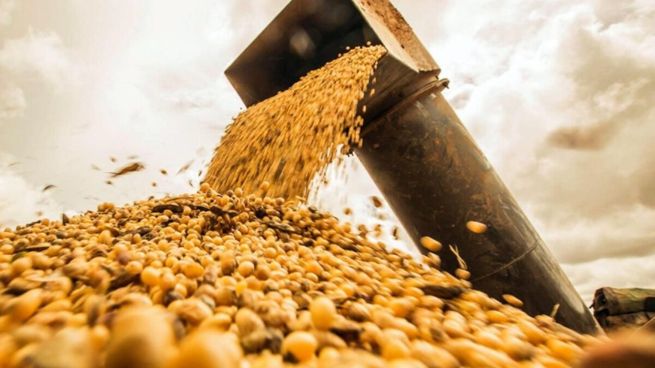 Productores del norte en contra de la adhesión a UPOV 91 por considerar que cartelizará al sector.&nbsp;