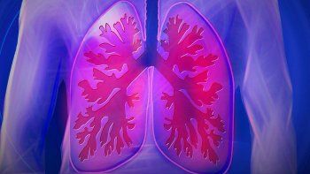 El tejido cicatrizado en pulmones de fallecidos por coronavirus podría ser la explicación de quienes presentan síntomas persistentes.&nbsp;