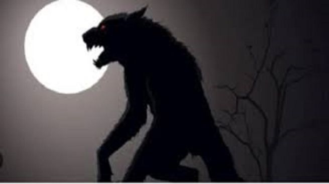 Aseguran haber visto un lobizón en Corrientes.