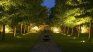 Así podés iluminar tu jardín de noche de manera sustentable.