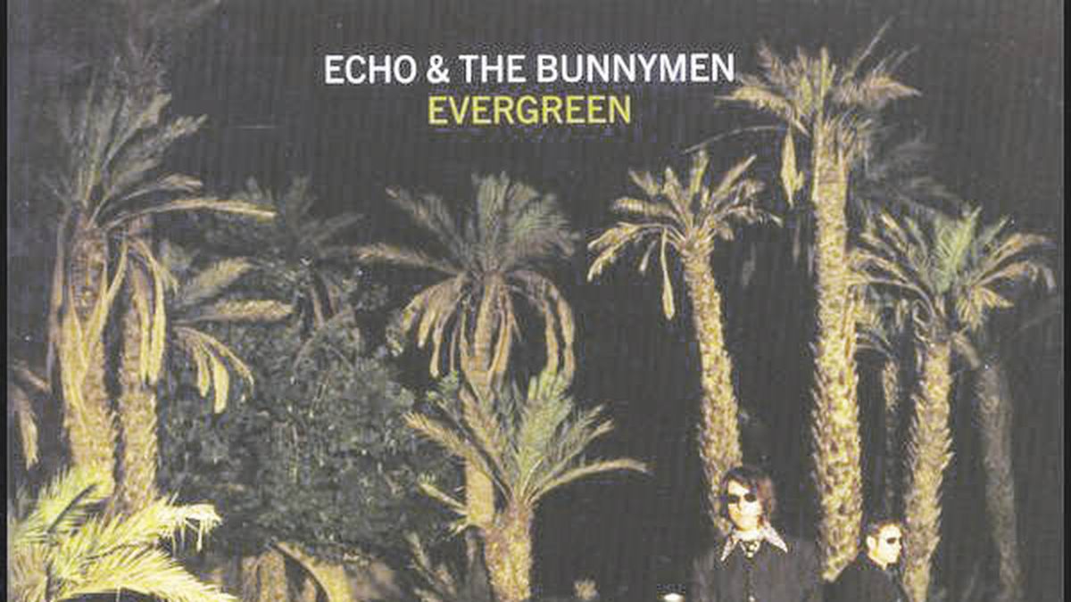 The Bunnymen, with unpublished
