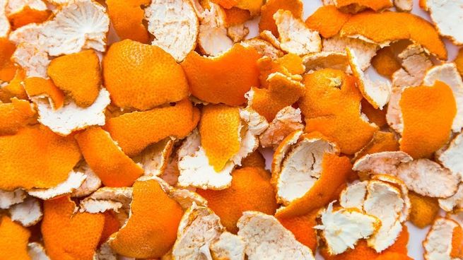 Esta parte de la mandarina siempre se descarta pero en realidad es muy buena para tu salud.