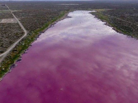 Una laguna se tiñó de rosa en Chubut