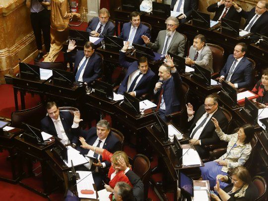 PAG12-Senado 12MAR ignacio petunchi 20.jpg