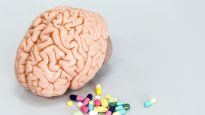 Una investigación de cerebros antiguos puede revelar información sobre enfermedades mentales