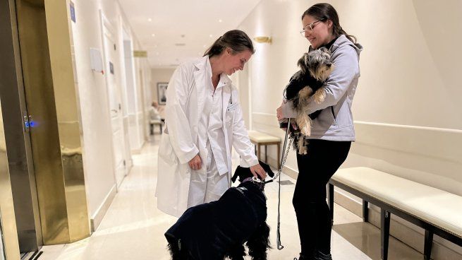Cada vez más clínicas y sanatorios en Argentina permiten el ingreso de mascotas a las habitaciones, reconociendo el impacto terapéutico del vínculo humano-animal durante una internación.