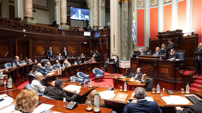 El Senado emitió su rechazo categórico a los dichos homofóbicos de Da Silva.&nbsp;