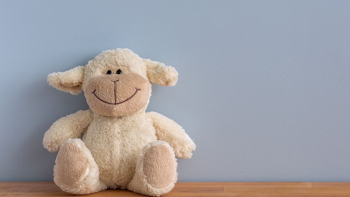 4 tricks to clean your children’s stuffed animals and leave them soft as the first day