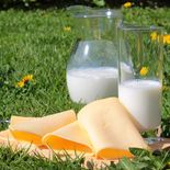 Especialistas invitan a repensar una alternativa vegetal que combine beneficios nutricionales y sostenibilidad ambiental. Especialistas invitan a repensar una alternativa vegetal que combine beneficios nutricionales y sostenibilidad ambiental.