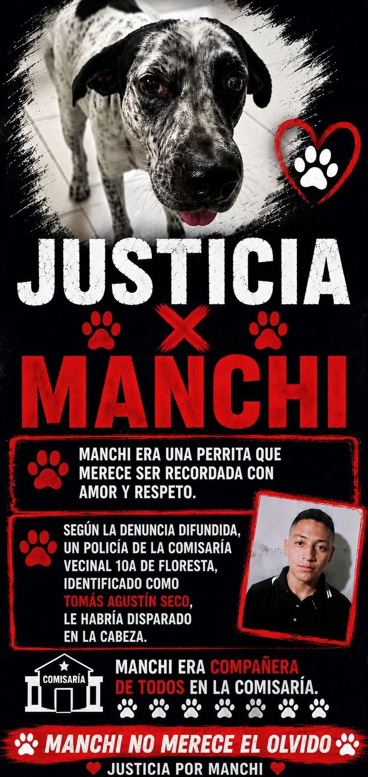 Los vecinos piden justicia por la perra.