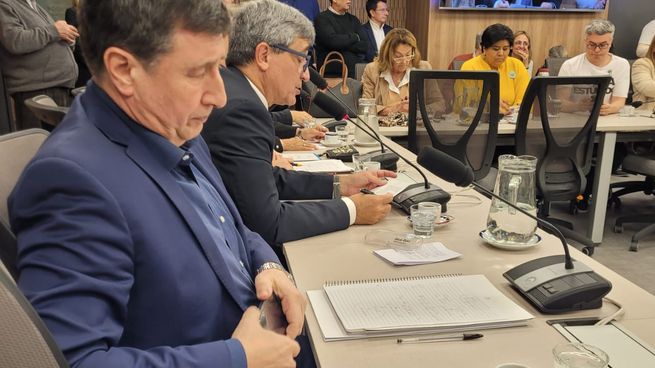 En un plenario de comisiones, la oposición debatió sobre el Caso Spagnuolo.