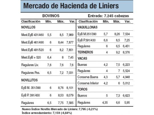 Bajas del 3,2% en los novillos