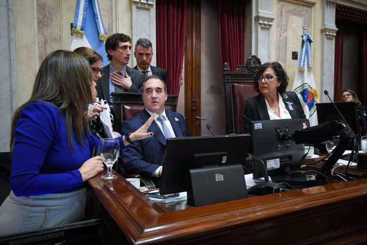 La sesión en el Senado terminó siendo presidida por Silvia Sapag en un clima de debate reglamentario.
