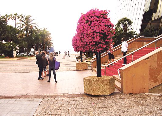 En cada zona, la Riviera francesa ofrece un escenario diferente para el placer de los visitantes.