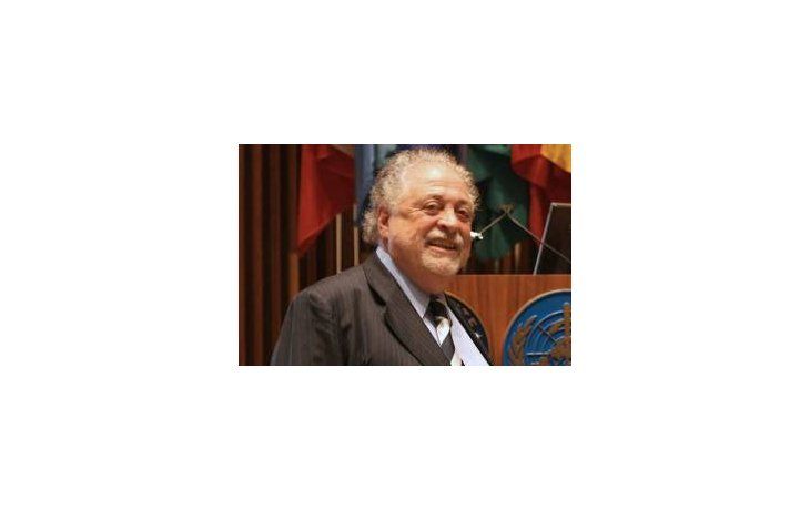 Ginés González García