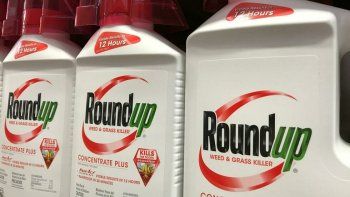 Bayer argumentó reiteradamente que las afirmaciones de que el Roundup -en base a glifosato- produce cáncer van en contra de hechos científicos concretos y que el producto ha recibido la autorización del regulador ambiental federal.